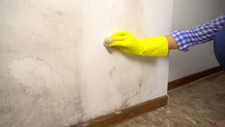 Best Airborne Mold Testing  in Clewiston, FL